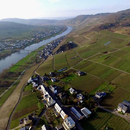 Moselie Ferienwohnung Kinheim Mosel 외부 사진