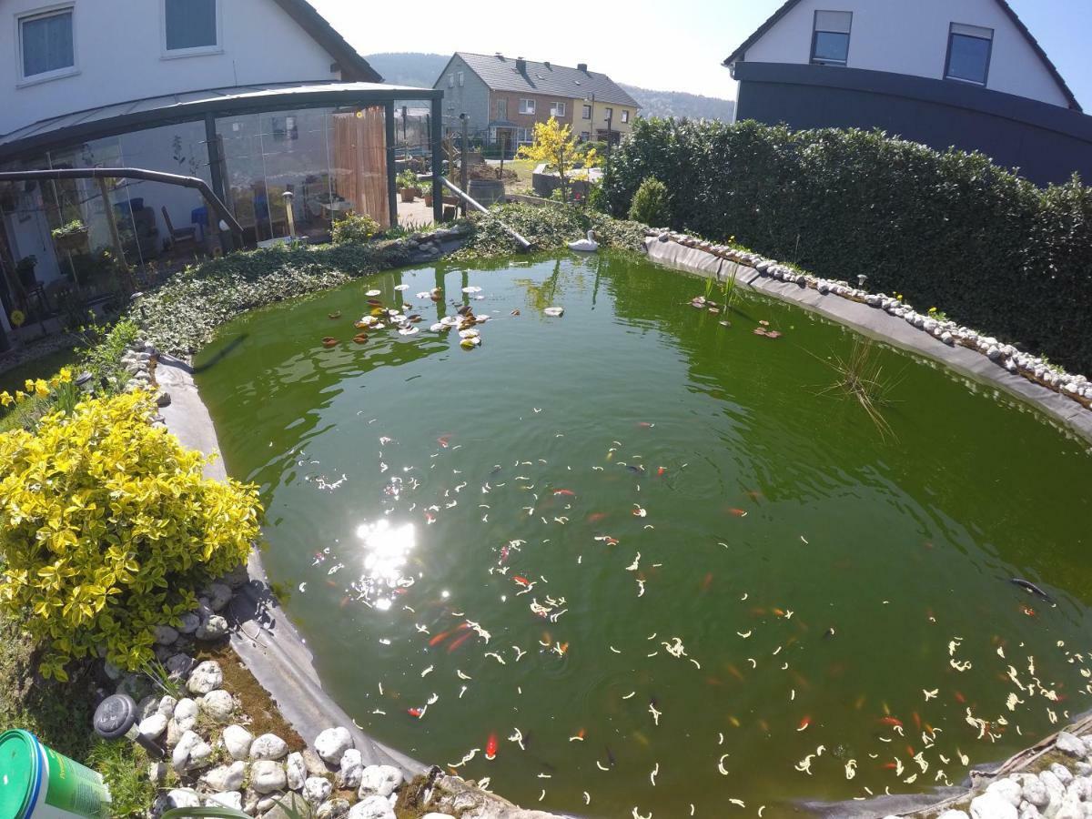 Moselie Ferienwohnung Kinheim Mosel 외부 사진